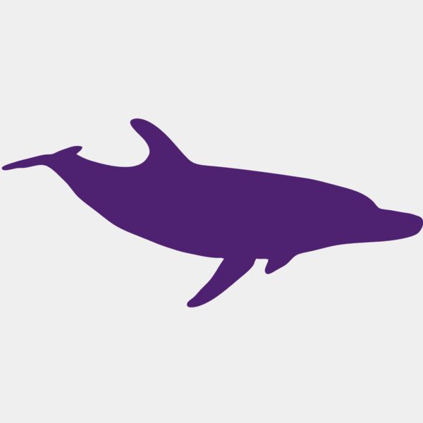 AR DOLPIN 12 RC Thumbnail