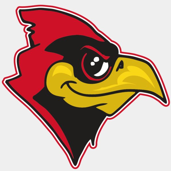 AR CARDINAL 38 RC Thumbnail