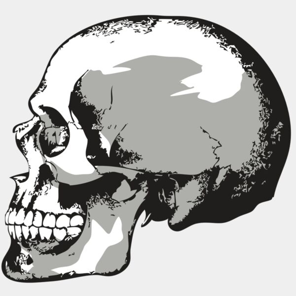 AR24 SKULL 02 RQC Thumbnail